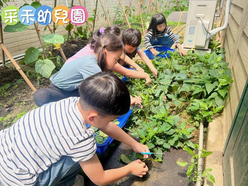 台中幼兒園